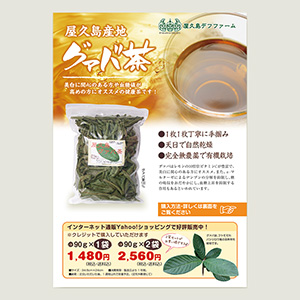 グァバ葉販売用チラシ