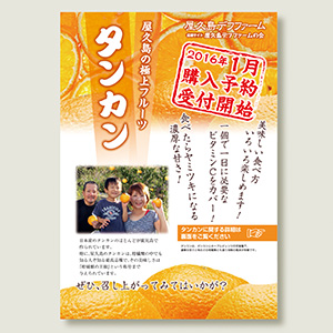 タンカン販売告知チラシ